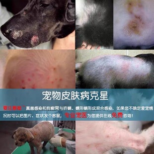 治疗狗狗皮肤病外用药猫癣藓狗藓癣脱毛真菌感染螨虫过敏止痒药膏
