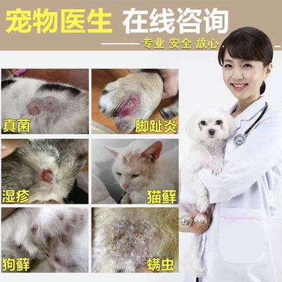 真菌螨虫皮炎湿疹猫癣狗癣瘙痒