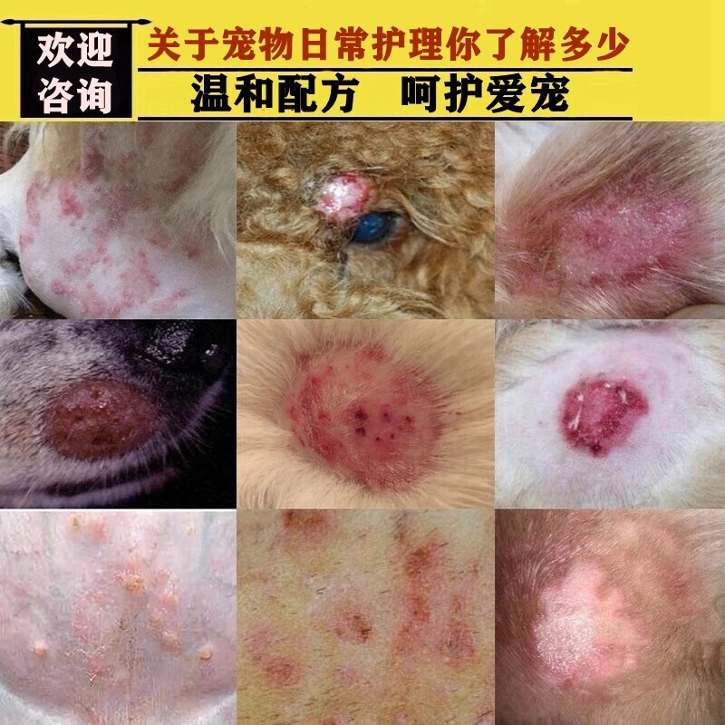 治疗狗狗皮肤外用药膏宠物猫咪狗狗皮肤专用皮肤痒狗身上长小红点