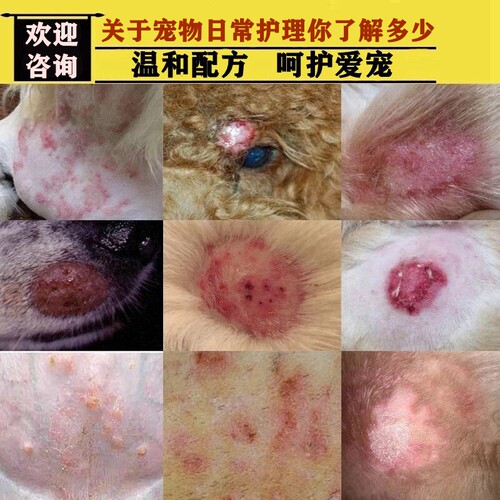 治疗狗狗皮肤外用药膏宠物猫咪狗狗皮肤专用皮肤痒狗身上长小红点