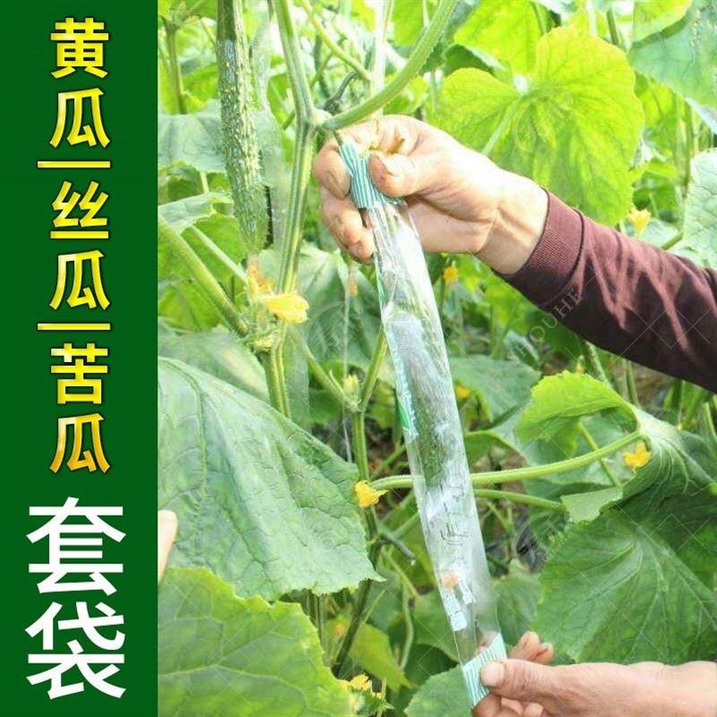 防虫套袋防鸟袋网袋尼龙防果蝇 丝瓜苦瓜浦瓜黄瓜番茄瓜果保护 套在类目 鲜花速递/花卉仿真/绿植园艺, 园艺用品, 其它园艺用品中 - 来自Buy2taobao.com提供专业的淘宝代购服务