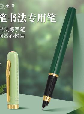 永生3275硬笔书法专用钢笔消字笔可擦练字书法专用笔男女士钢笔可替换3.4mm墨囊钢笔学生正姿练字笔