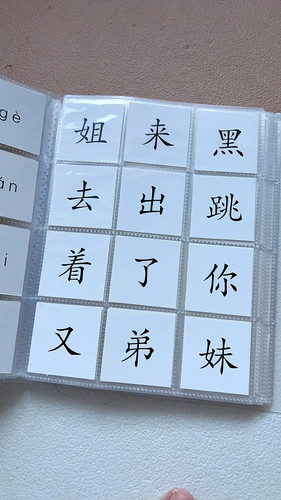 大容量字卡收纳册儿童小识字卡收集册放卡片集卡册透明幼儿园宝宝