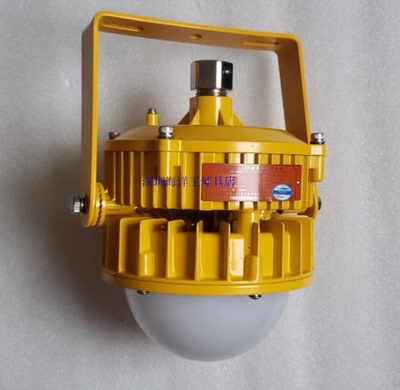 海洋王BPC8767LED防爆平台灯