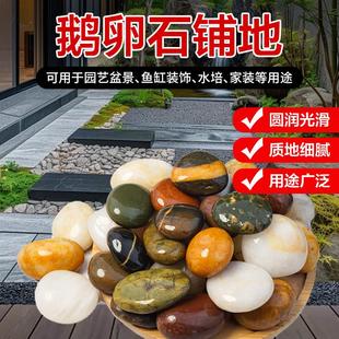 鹅卵石铺地多种款式雨花石原石鱼缸花盆庭院装饰花园造景挡土石新