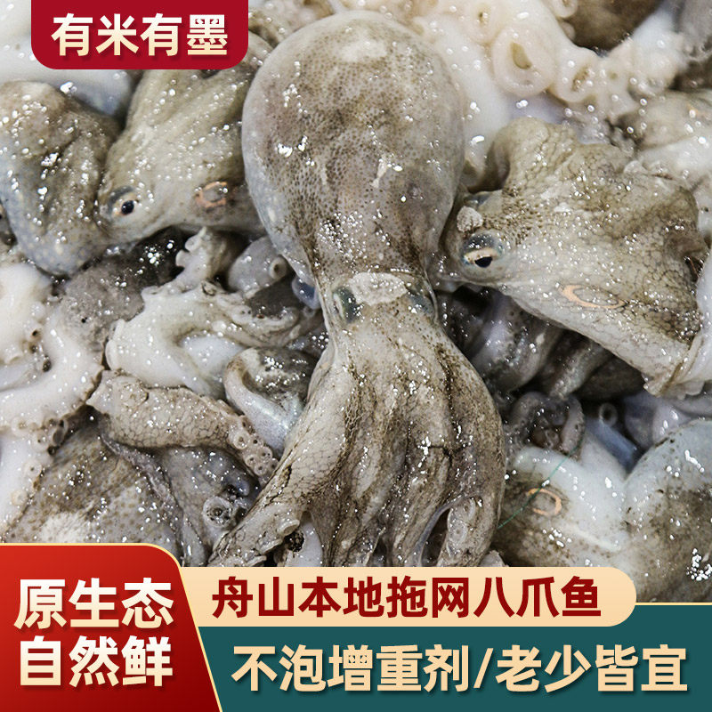 1000g足重不泡水 长腿小八爪鱼鲜活海鲜冷冻有米墨八抓鱼小章鱼足