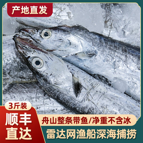 舟山带鱼雷达网小眼睛新鲜整条