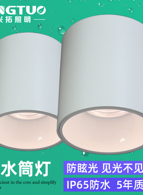 led防水明装筒灯户外店铺门头高铁地铁通道酒店雨棚吸顶COB灯白色