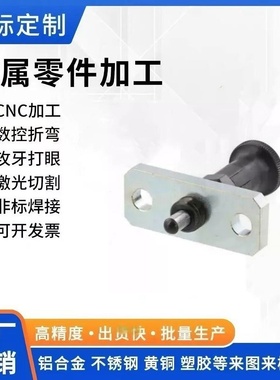 FPXA/FPXK/FPXY/FPXR/8/8L/10L/12/12L/16/16L旋钮柱塞45.22