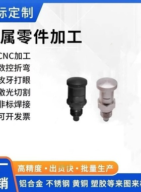 ZAY01/ZAY05/ZAY02/ZAY06/ZAY03/ZAY04/ZAY08分度销