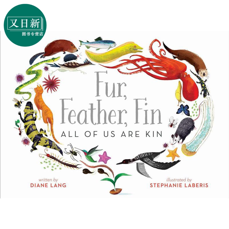 动物外表分类书 Stephanie Laberis Fur Feather Fin All Of Us Are Kin英文原版儿童绘本动物知识图画书精装又日新