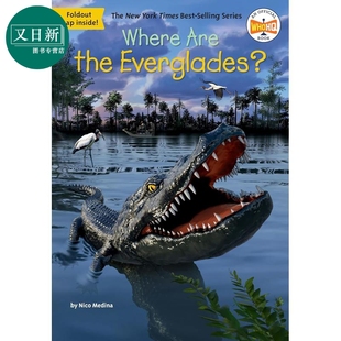 儿童科普读物 哪里是大沼泽地 Everglades 预售 历史故事书 7岁以上 Are 进口童书 Where 又日新 The 黑白插图章节 英文原版