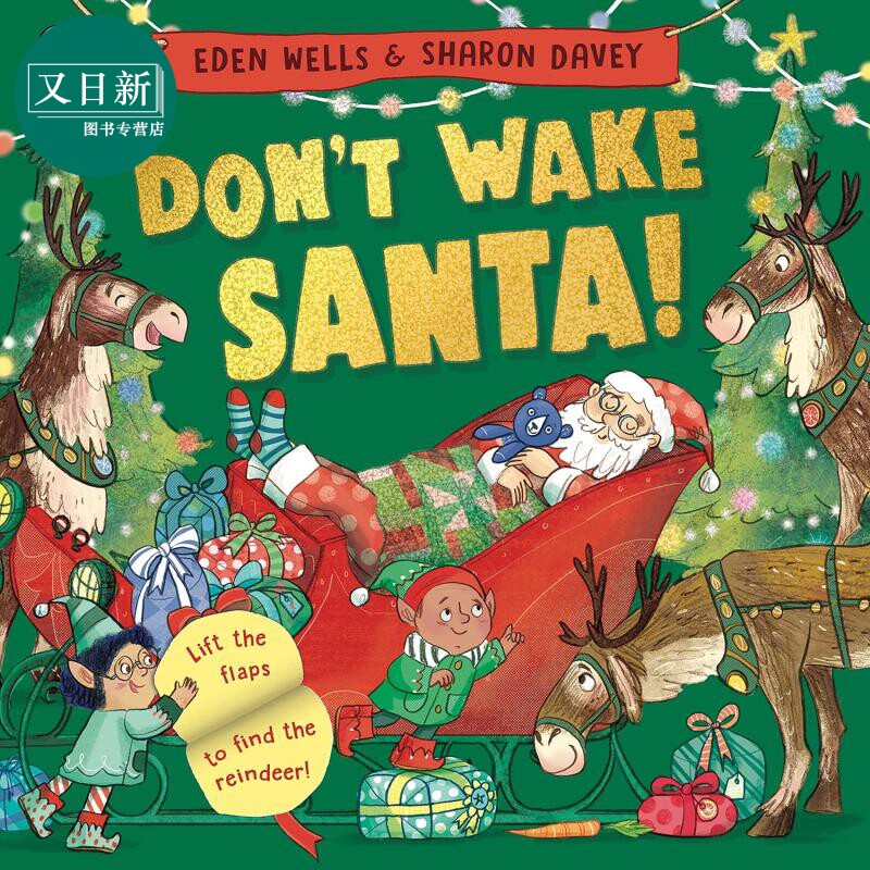 Don't Wake Santa 别吵醒圣诞老人 英文原版进口图书儿童绘本 故事图画书 又日新