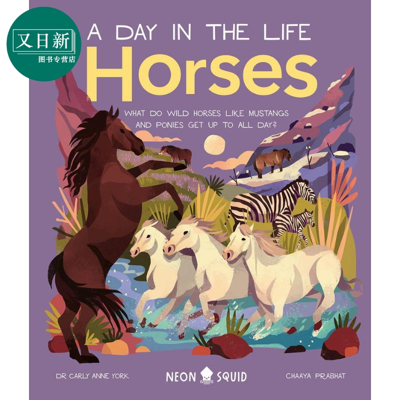 A Day in the Life：Horses 一天的小生活：马 英文原版 进口图书 儿童科普绘本 动物图画书 精装童书 知识百科 又日新