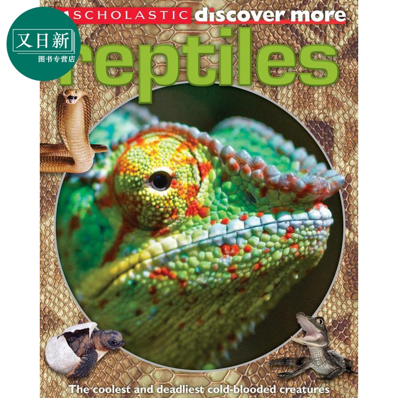 学乐大发现 两栖动物 Scholastic Discover More Reptiles 英文原版 儿童科普绘本 动物知识百科图画书 动物科学 又日新