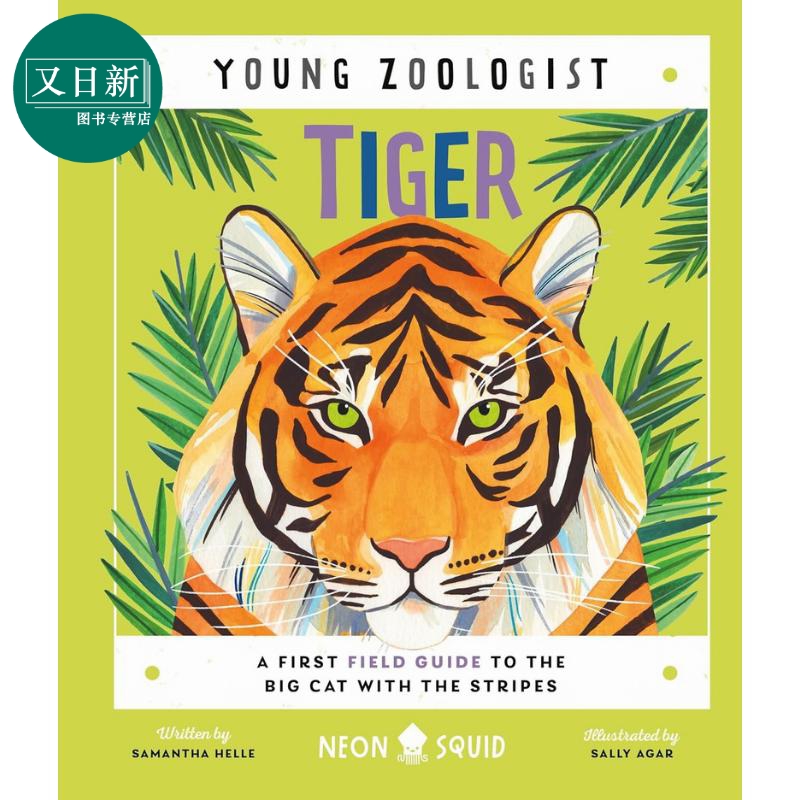 小动物家老虎 Young Zoologist Tiger英文原版儿童科普绘本动物知识百科图画书精装绘本进口科学读物 5-8岁又日新-封面