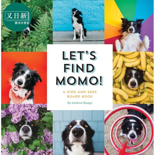 Lets Find Momo寻找莫莫1 让我们找到Momo 英文原版纸板书 A Hide-And-Seek Board Book 狗狗找找书 捉迷藏的书 又日新