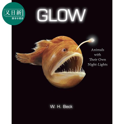 发光动物 属于自己的夜灯 Glow Animals with Their Own Night-Lights 英文原版 儿童科普 动物百科绘本 精装进口 又日新