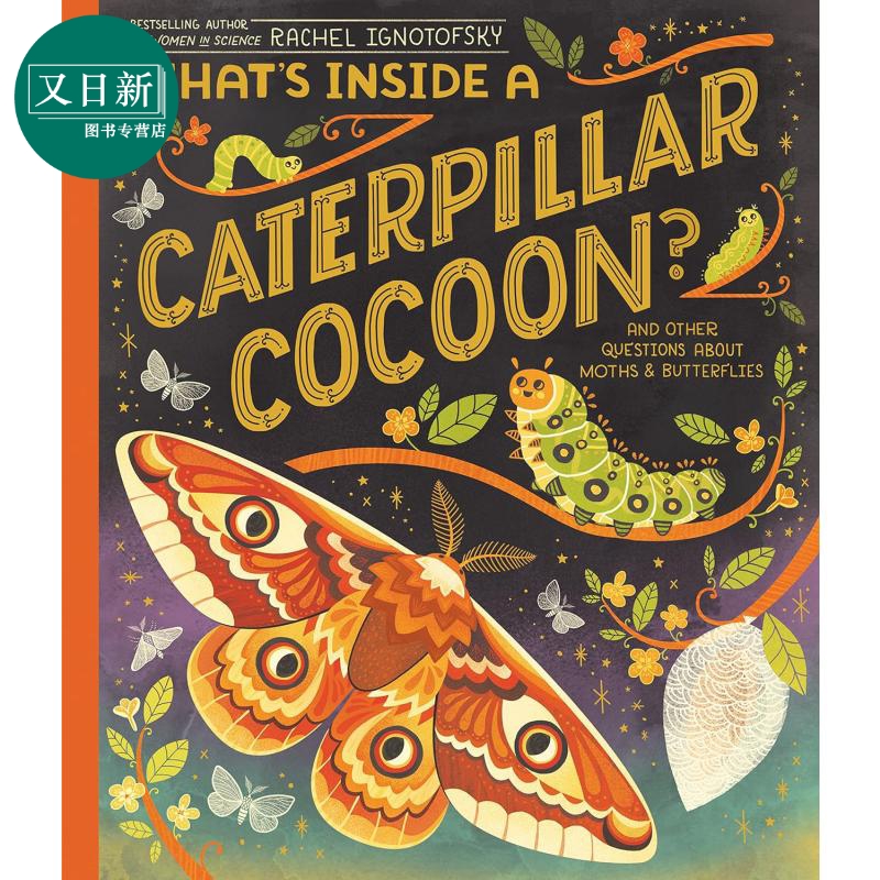 毛毛虫的构造 Rachel Ignotofsky Whats Inside a Caterpillar Cocoon And Other Questions英文原版儿童科普绘本又日新