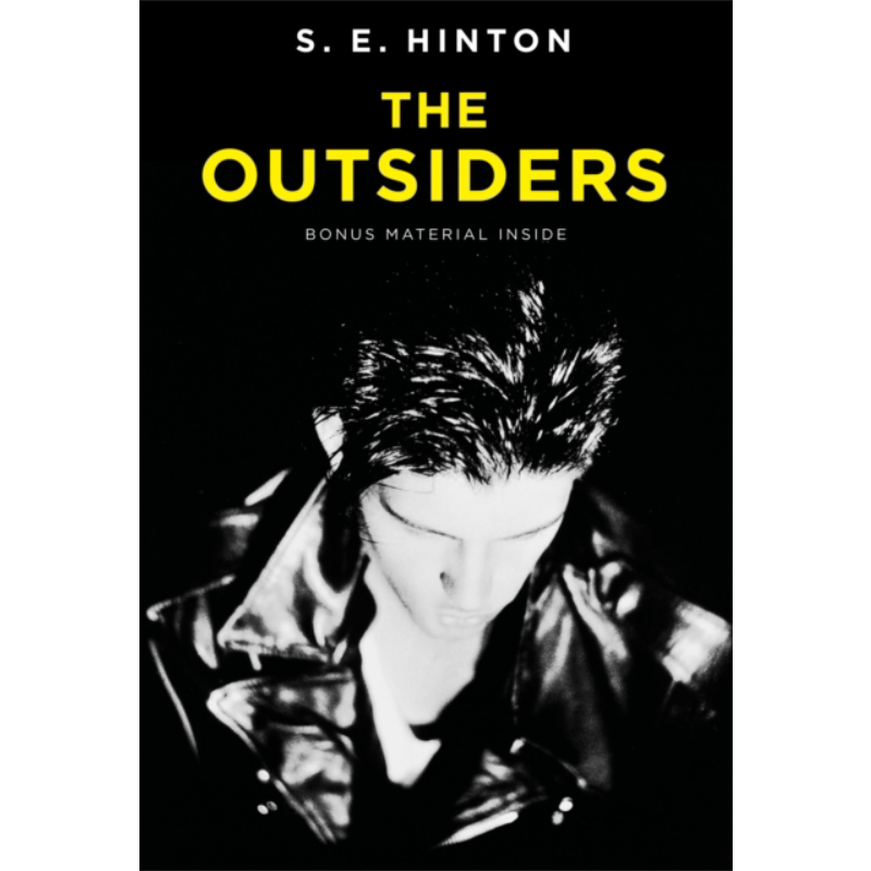 常青藤国际大奖小说追逐金色的少年 局外人英文原版 The Outsiders S.E.Hinton苏珊埃洛伊斯欣顿青少年读物 又日新
