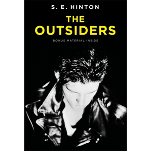 常青藤国际大奖小说追逐金色的少年 局外人英文原版 The Outsiders S.E.Hinton苏珊埃洛伊斯欣顿青少年读物 又日新