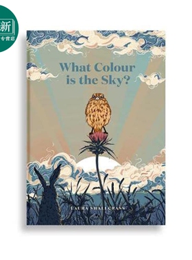 What Colour Is The Sky? 天空是什么颜色的？英文原版 进口原版 精装 5岁到8岁 儿童图画书 Laura Shallcrass 又日新