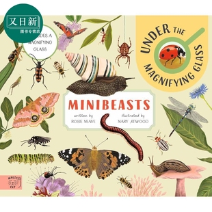 微型动物 放大镜下的观察 Minibeasts Under the Magnifying Glass 英文原版 儿童科普绘本读物 插图精美 进口书 又日新