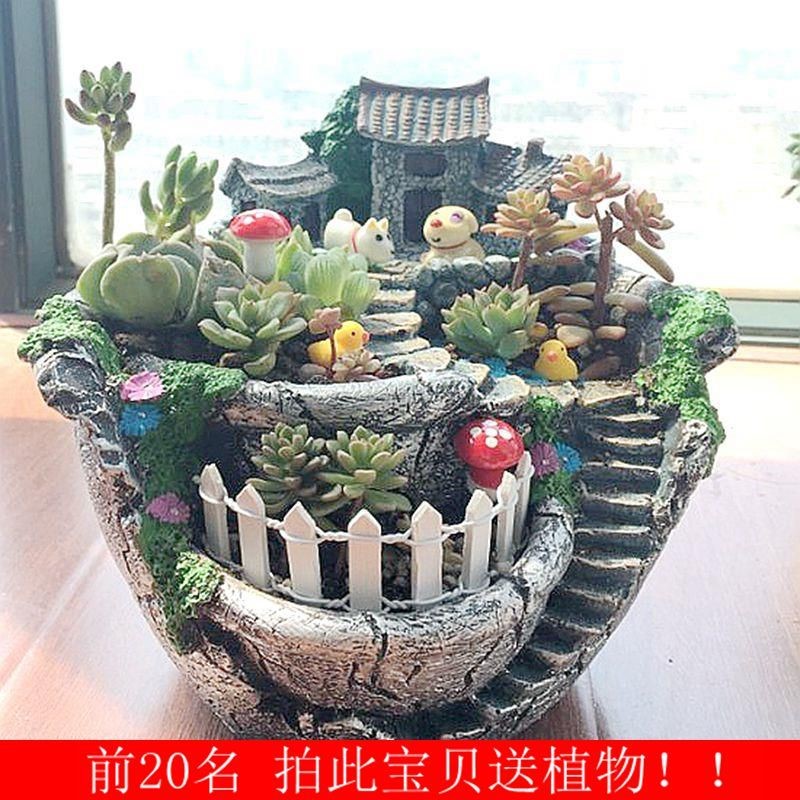 大号房子口径拼盘微多肉小号肉肉植物清仓特价花盆陶瓷景观非树脂