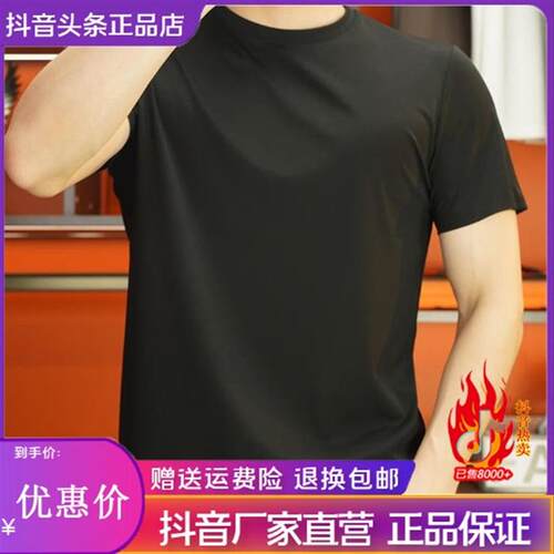 Amphelisia男士短袖圆领T恤短袖T恤锦氨无痕打底上衣净版简约高弹