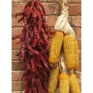 五谷丰顶道具挂饰农家乐干玉米棒挂饰装饰带皮玉米穗真玉米串挂件