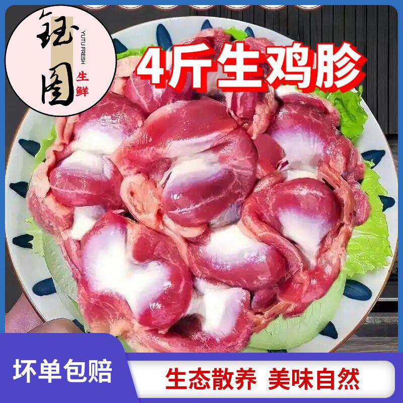 现杀鸡新鲜冷冻鸡胃鸡胗鸡杂肚子火锅烧烤卤味食材