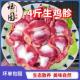 现杀鸡新鲜冷冻鸡胃鸡胗鸡杂肚子火锅烧烤卤味食材