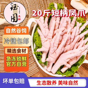 20斤新鲜凤爪冷冻凤爪新鲜短凤爪生鸡脚短鸡爪网红鸡脚卤8斤食材