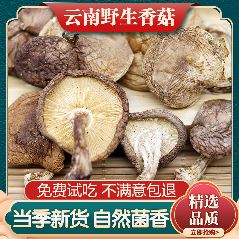 野生香菇干货野生菌云南特产野生菌菇野生食用蘑菇煲汤材料