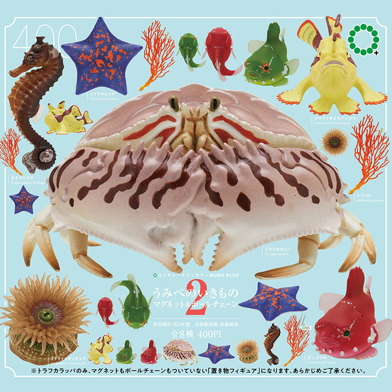 日本正版IKIMON海洋生物冰箱贴