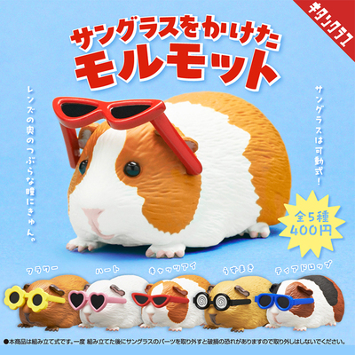 日本正版奇谭KITAN戴墨镜小豚鼠