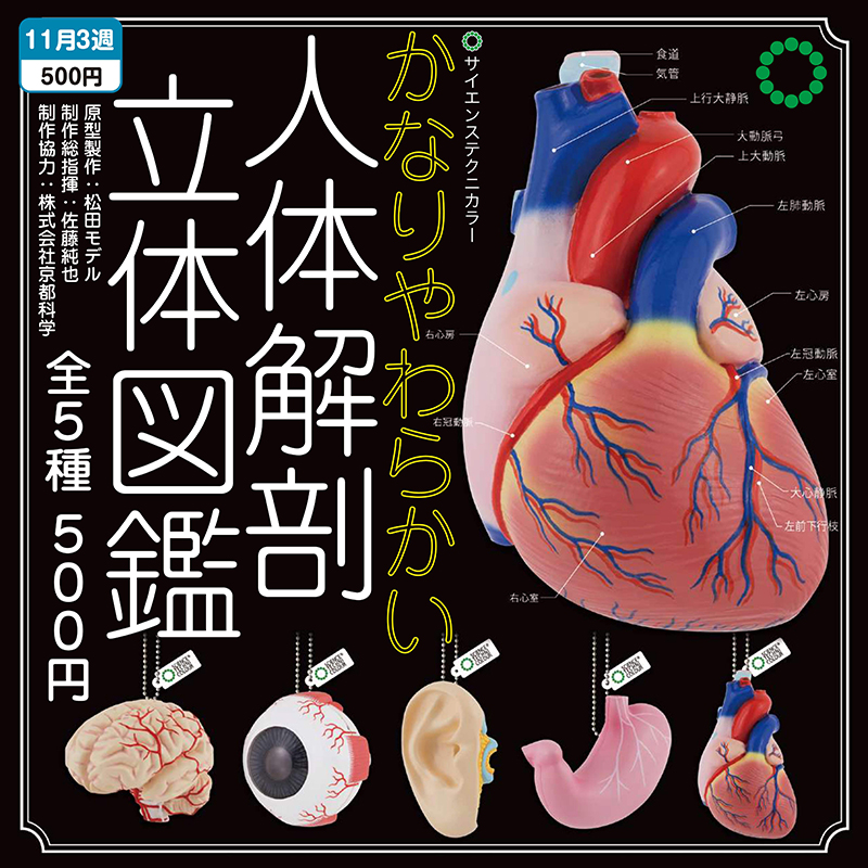 预售×日本正版IKIMON 仿真人体器官挂件扭蛋 心脏胃眼珠耳朵吊饰