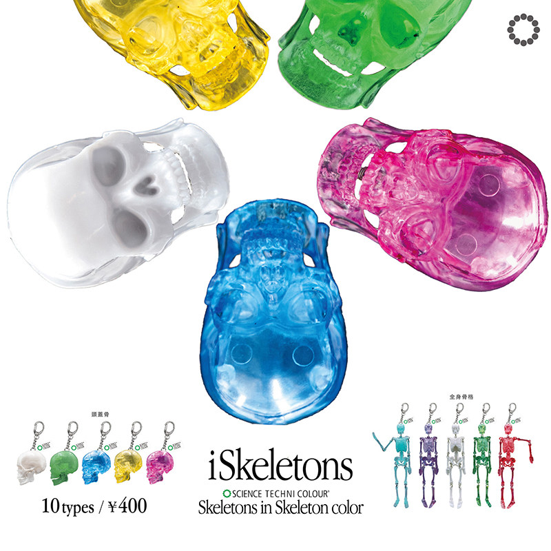 日本正版IKIMON 彩色透明骷髅&人体骨骼挂件扭蛋 人体骷髅吊饰