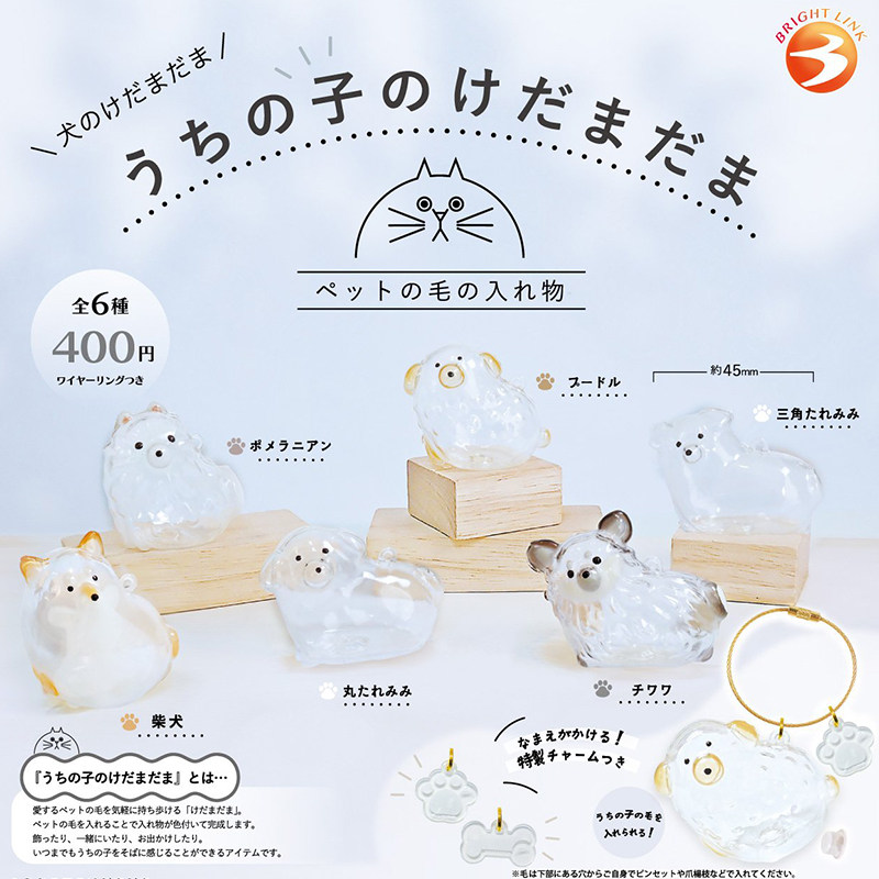 日本正版BRIGHT LINK 第1弹 透明狗毛收纳盒吊饰扭蛋 存毛发胶囊