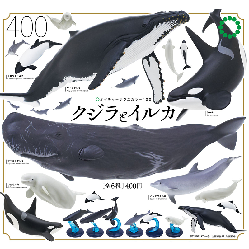 日本KIMON海洋生物鲨鱼扭蛋