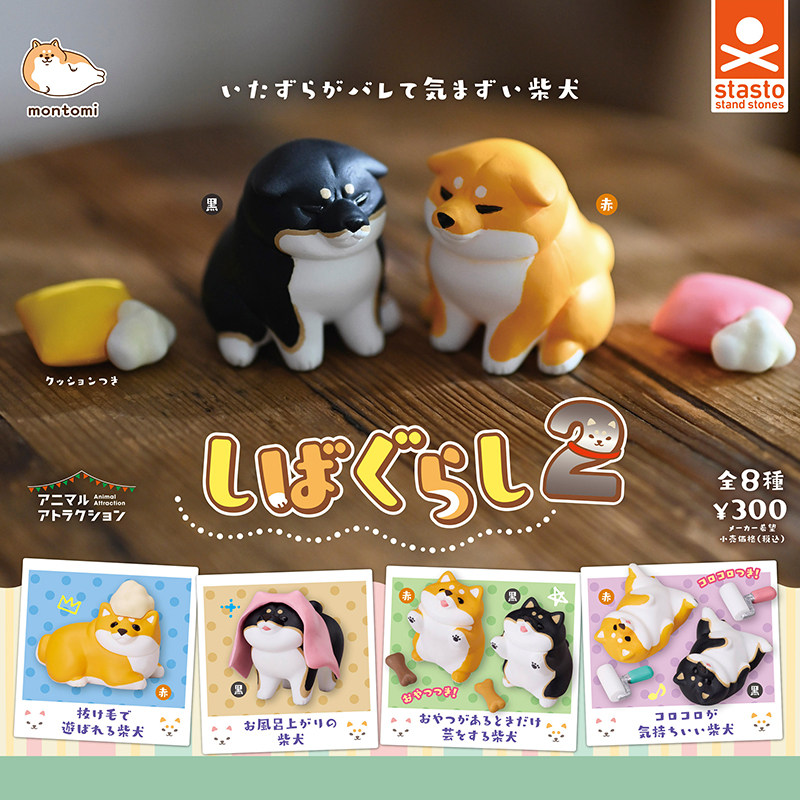 日本正版STASTO柴犬的日常生活