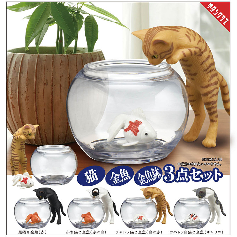 日本正版KITAN看金鱼的猫咪