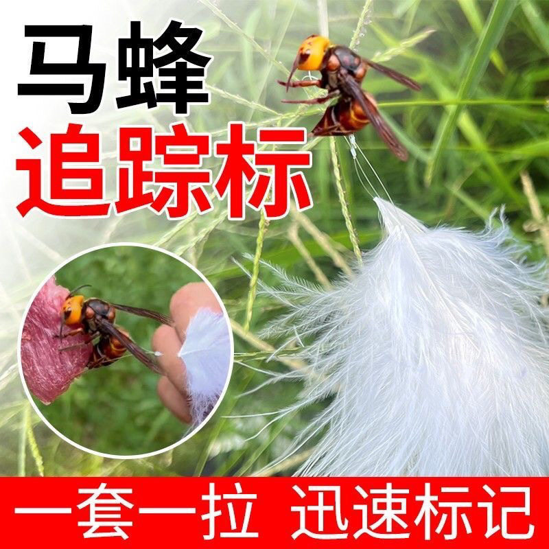 马蜂追蜂标自动金环白羽毛虎头蜂塑料黄脚红米蜜蜂黑黄新款白色