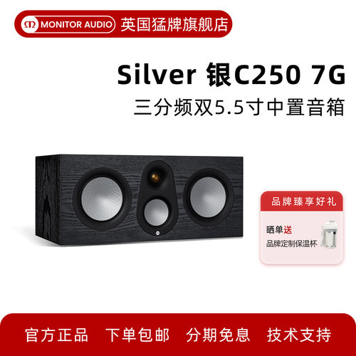 英国进口家庭影院中置音箱