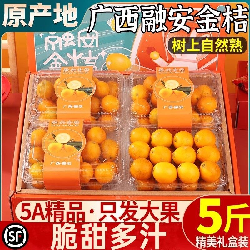 广西融安脆皮金桔新鲜水果小金橘子应当季蜜金柑整箱礼盒包邮顺丰