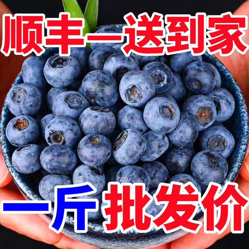 云南蓝莓鲜果新鲜高端水果当季蓝梅高山怡颗孕妇整箱包邮顺丰野果