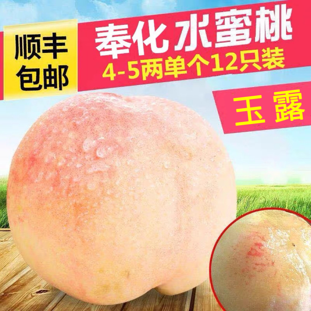 【顺丰空运】正宗奉化水