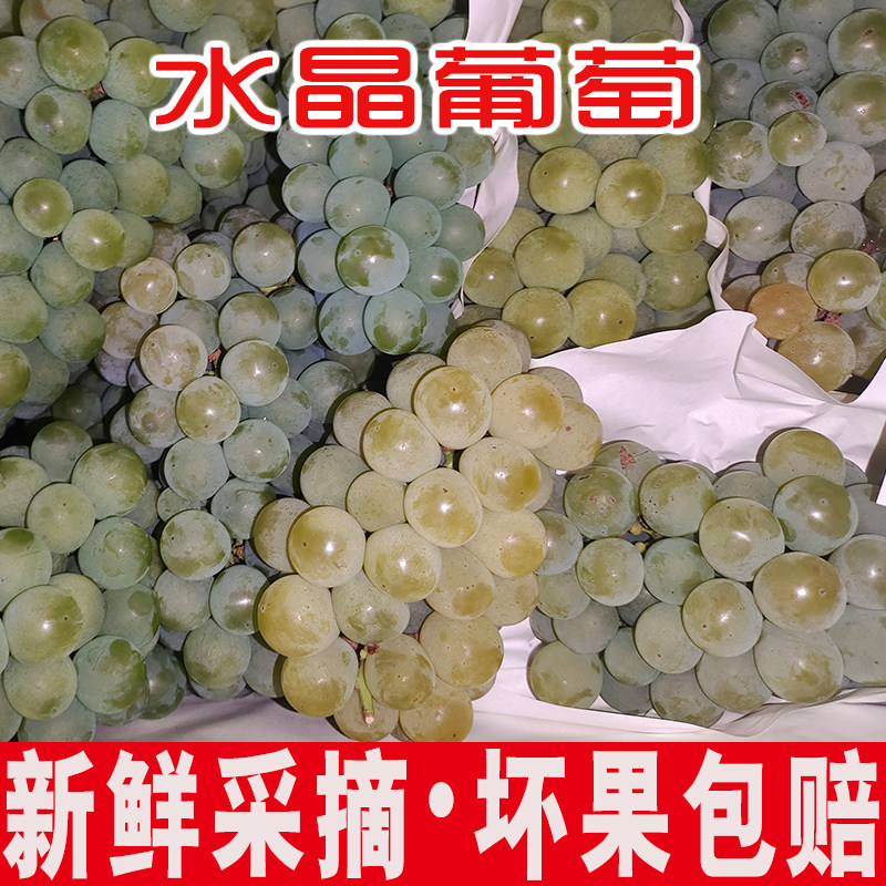 湖南水晶葡萄新鲜香小农