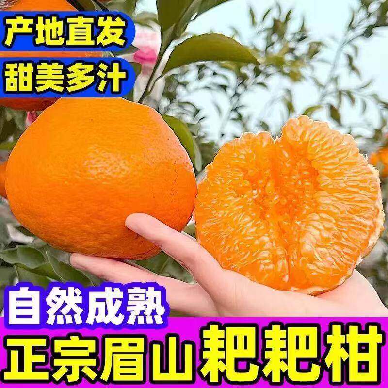 正宗四川春见耙耙柑橘子水果当季丑八怪特级粑粑柑丑柑桔包邮