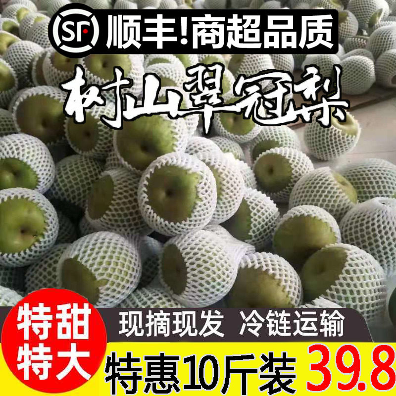 翠冠梨果园现摘现发新鲜当季水果梨子翠冠梨脆梨蜜梨顺丰包邮